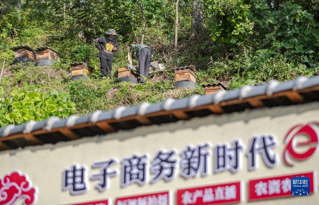 众发178下载